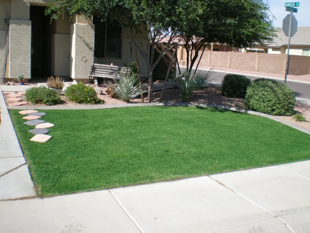 Why You Should Paint Your Lawn Green to Save Water