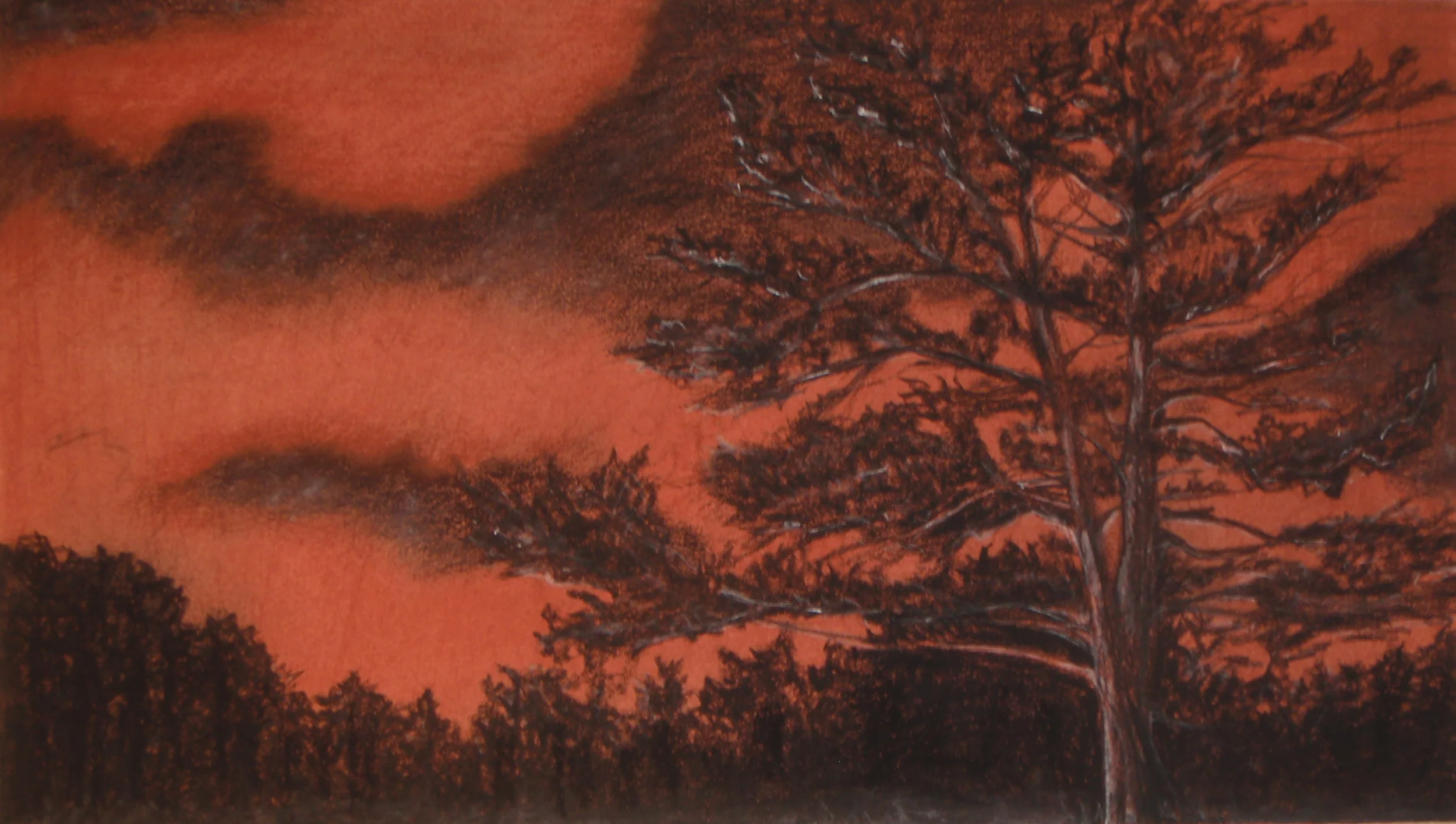 CVereNicoll.RedSky.20x13in.conteonpaper.09-09 copy.JPG