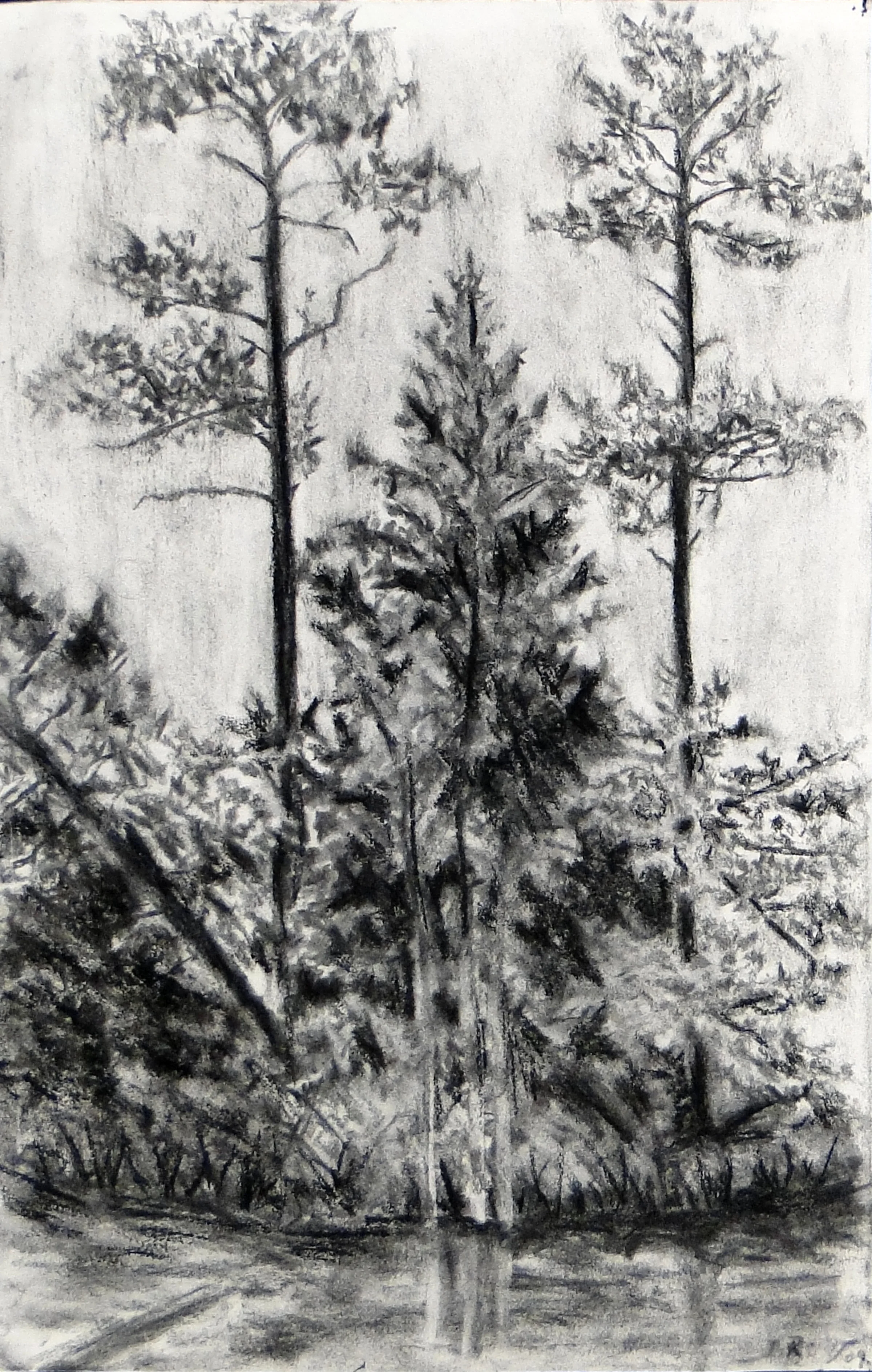 Ro.Haze.Charcoal on Paper.16x20 in.September2009.jpg