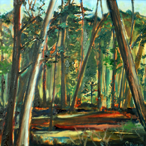 Vivado.Spring in the Woods.oil.12''x12''.April 2011 copy.jpg