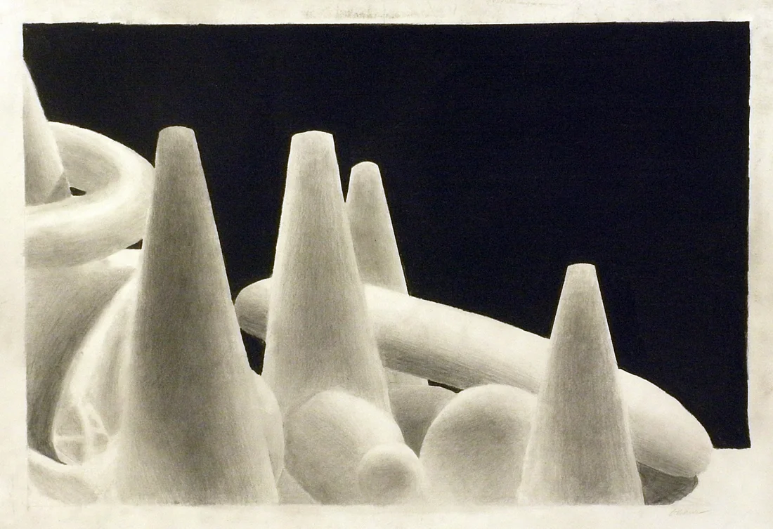 Dehmlow.Value.Pencil on Paper.20x16 in.08-08.jpg
