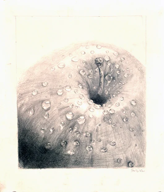 Kim.Waterdrops on Apple.Pencil on Paper.10.5x12-inches.11:2010.jpg