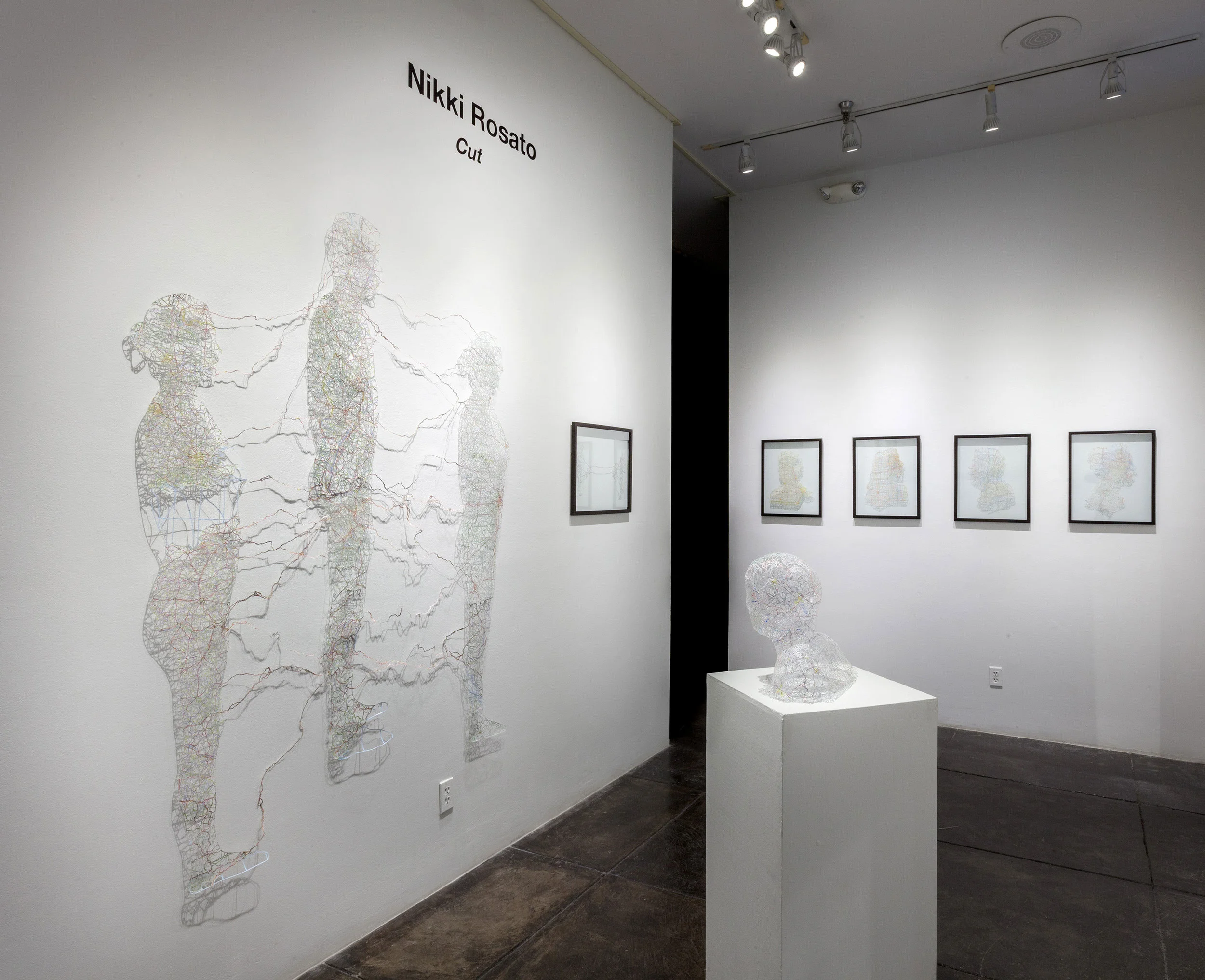 Cut , Solo Exhibition at the Jonathan Ferrara Gallery, 2013
