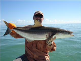 Gary Topche Cobia.jpg