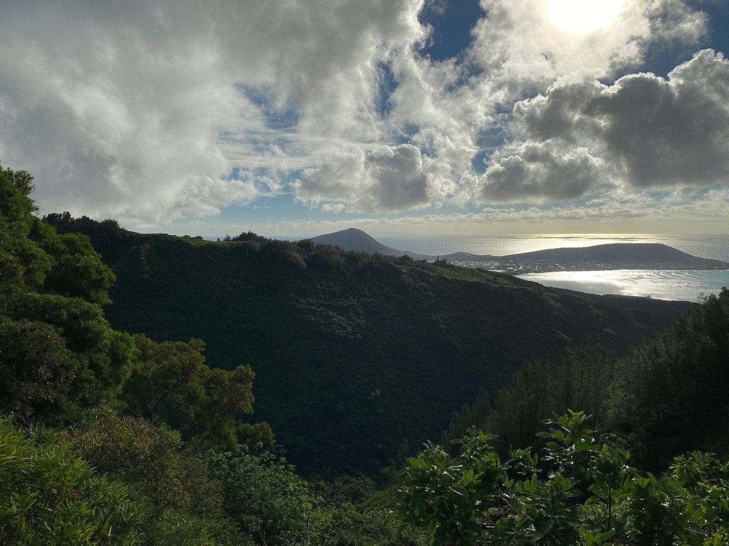 Bring in 2025 with a beautiful view 🤩⁠
.⁠
.⁠
.⁠
.⁠
⁠
#casualmovements #ハワイ#hawaii #808 #hawaiilife #paradise #islandlife #hiking #mountains #mountainview #landscapephotography #newyear #luckywelivehawaii #luckywelivehi #oceanview #islandview