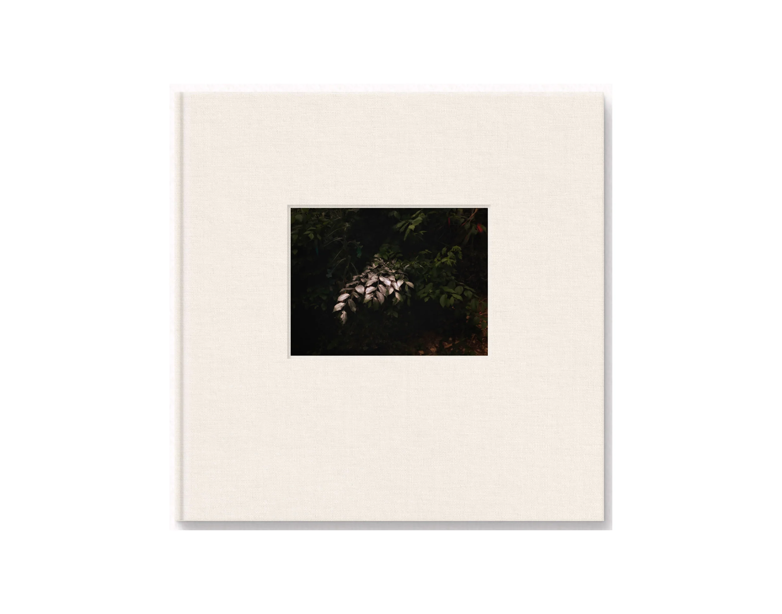 The Idea of You, 2015 --