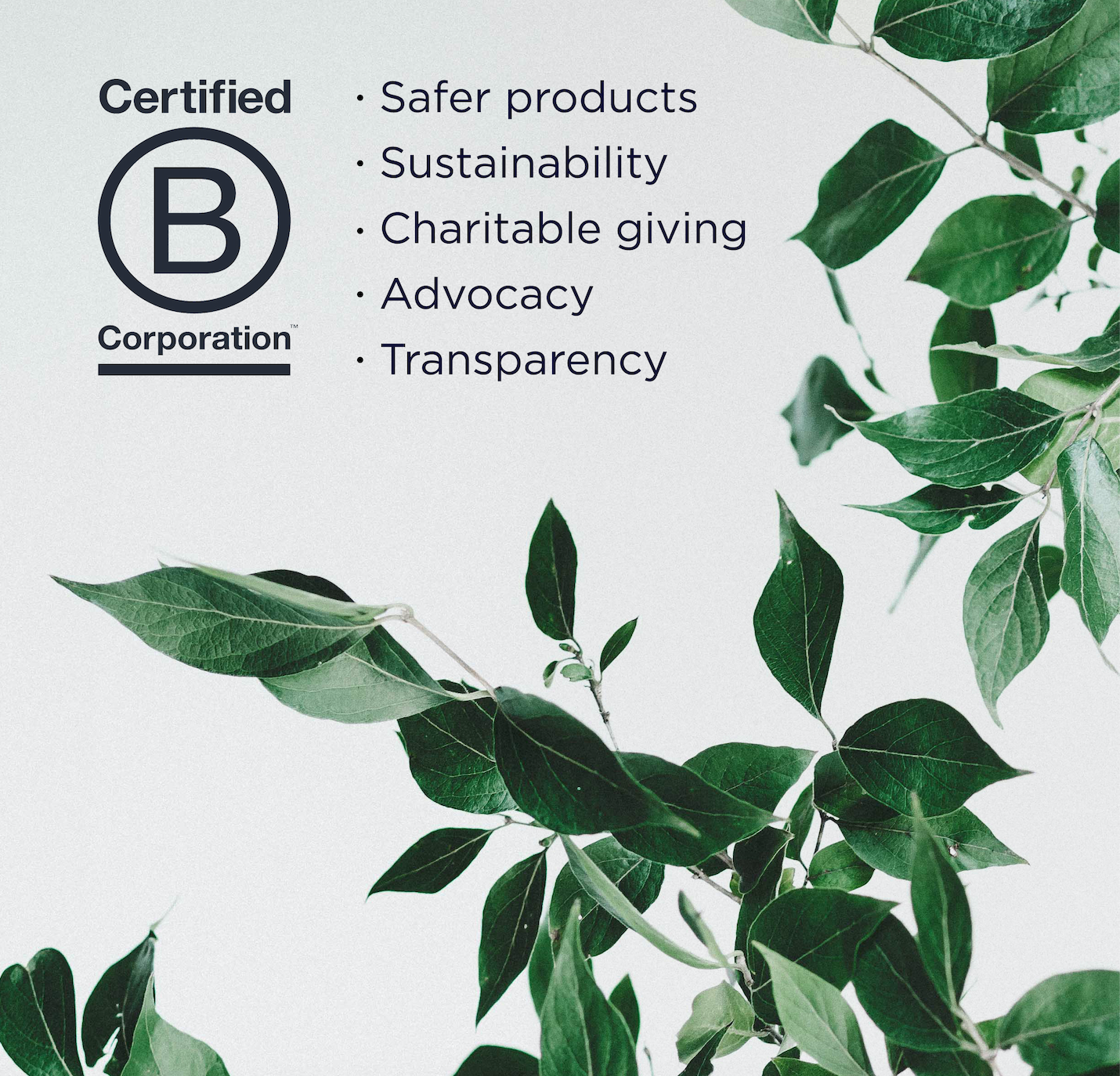 Bcorp.png