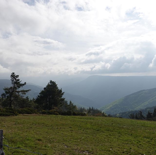 Beautiful France in the central massif (near Prévenchères, Lozère)
#tourdumassifcentral #cyclotouring #lozere #france #travelphotography #traveller #hiker #randonneur #velorando #occitanie #cyclotourisme