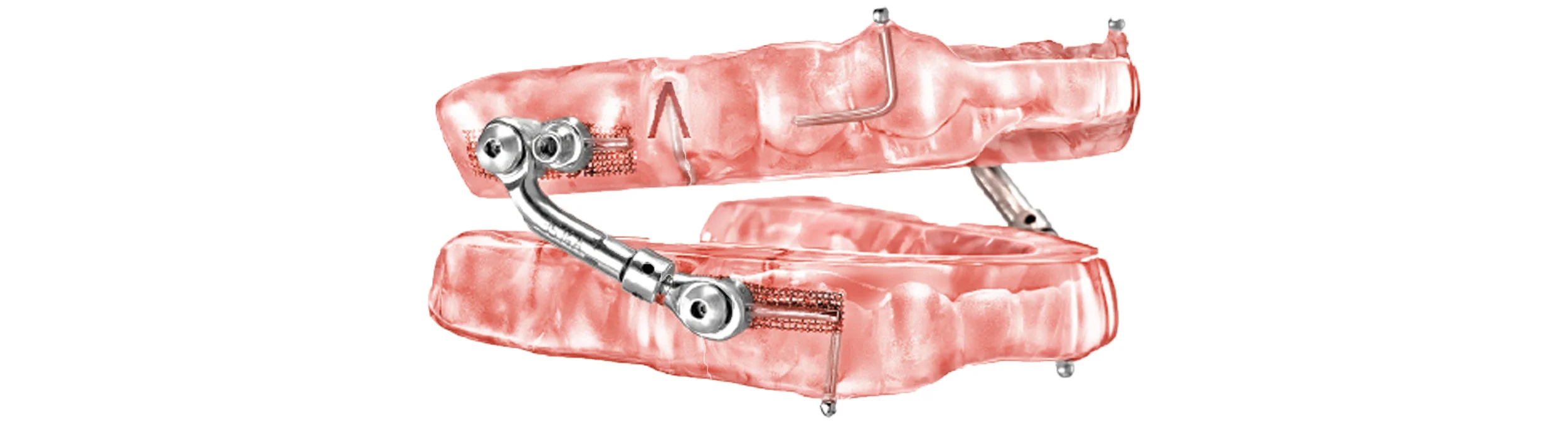 Pink+Micro+Long+Banner.jpg