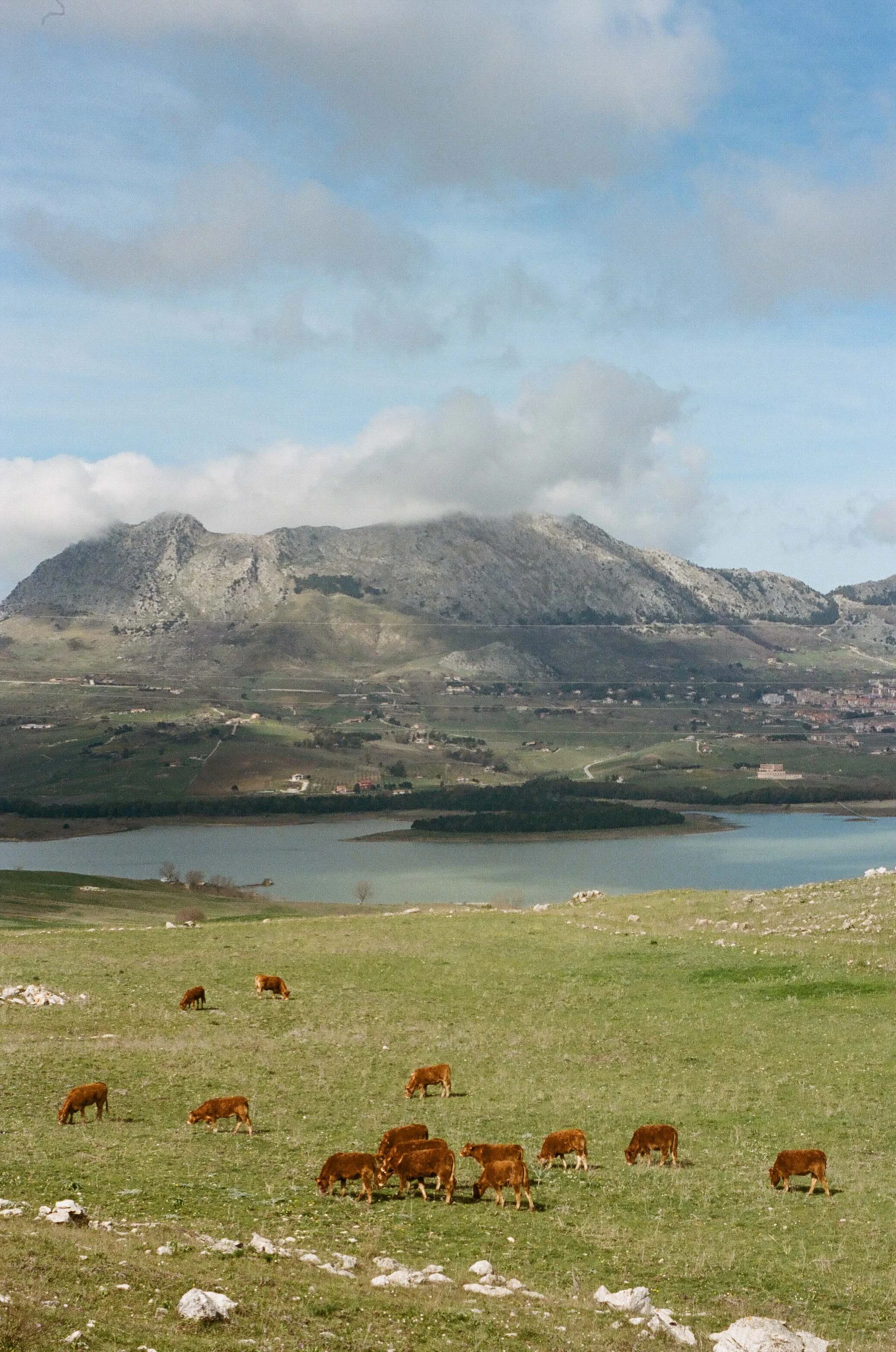 Countryside of Sicily