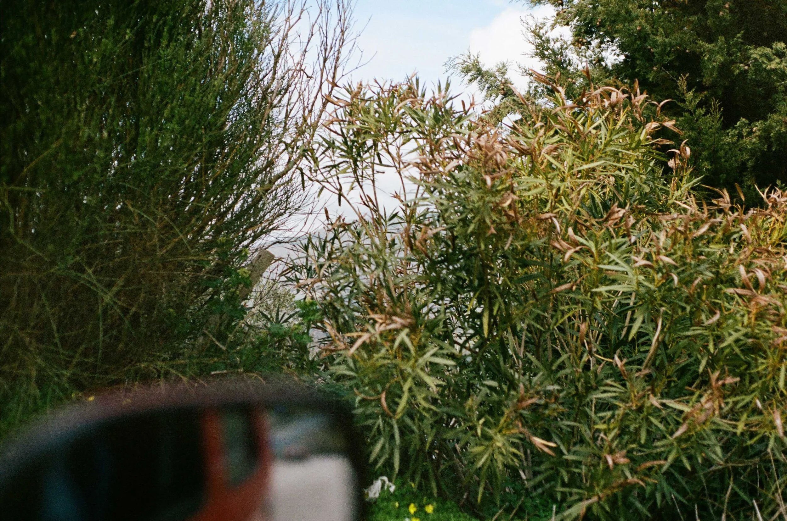 View from a car window in Sicily.