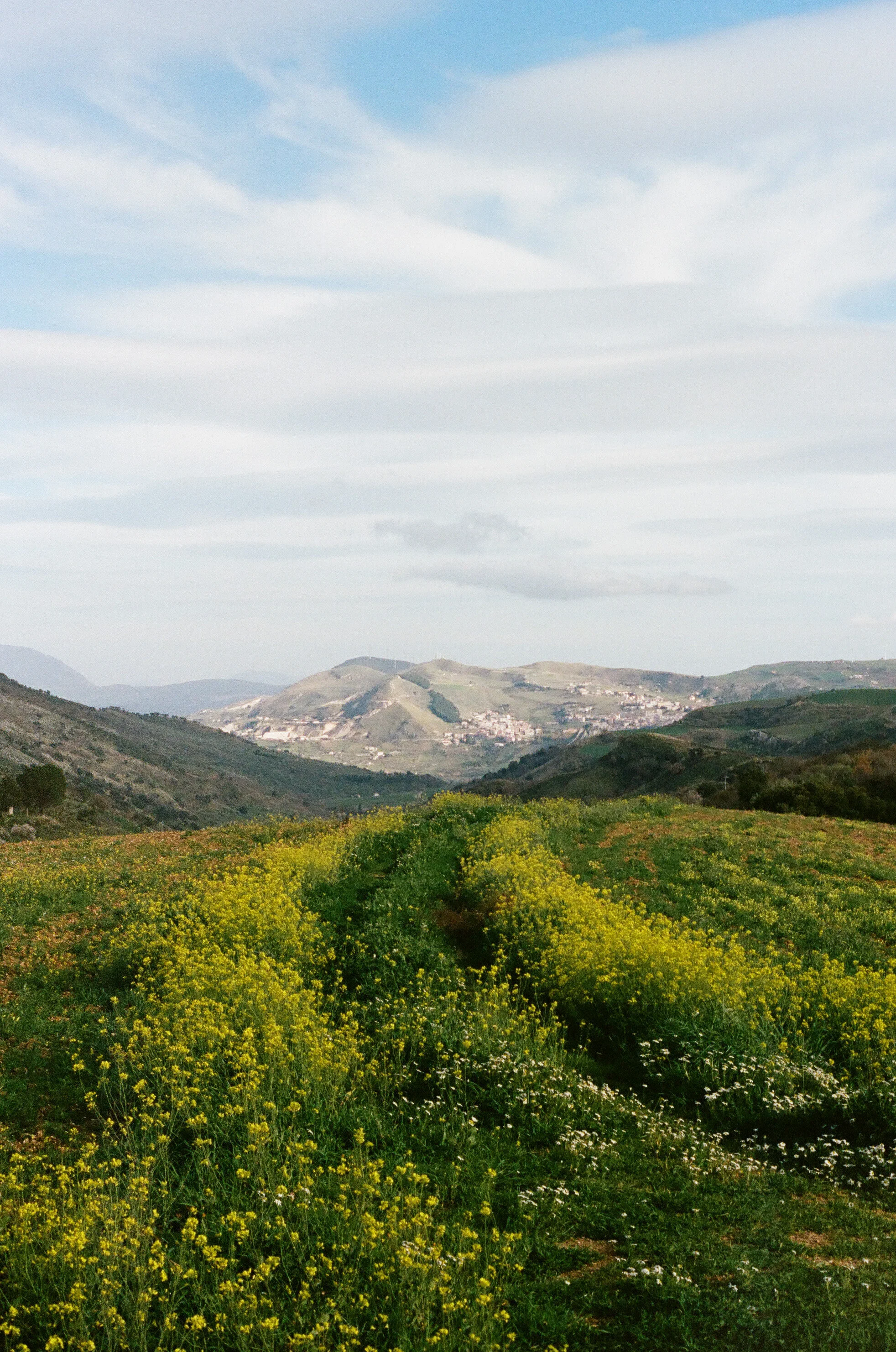 wedding venue baglio di pianetto in sicily.