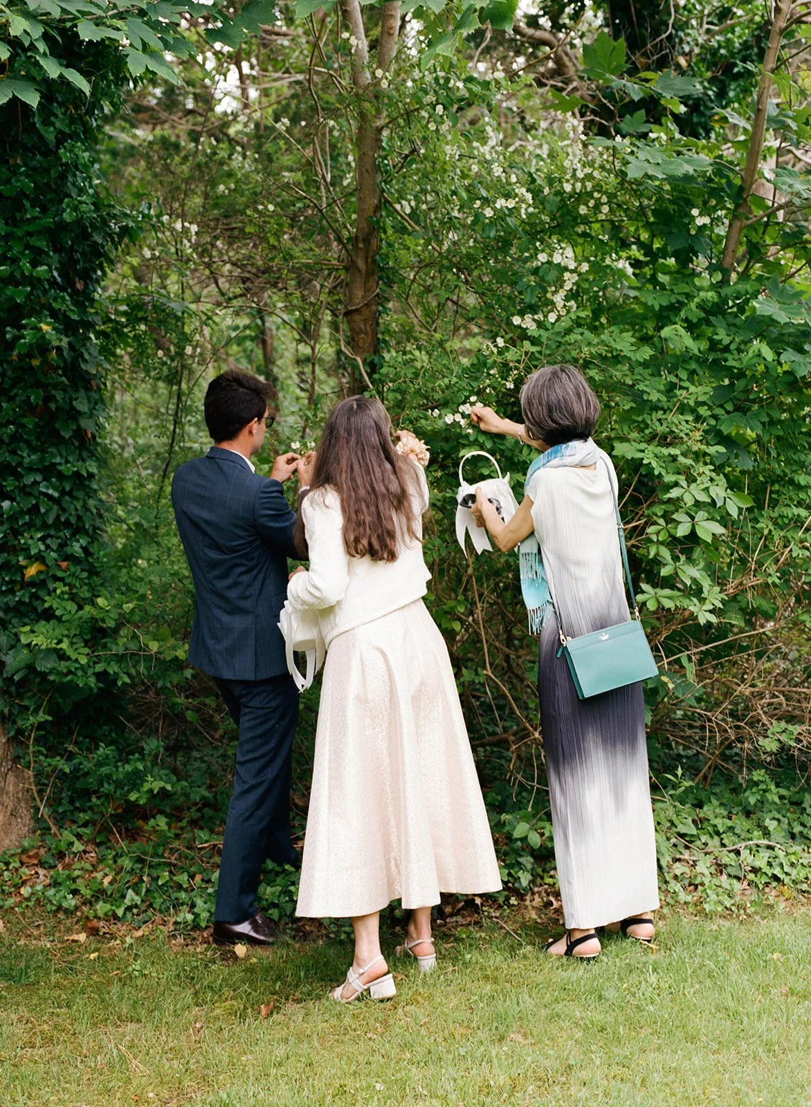 Family of bride at wedding on the Cape pick berries for ceremony in the woods.