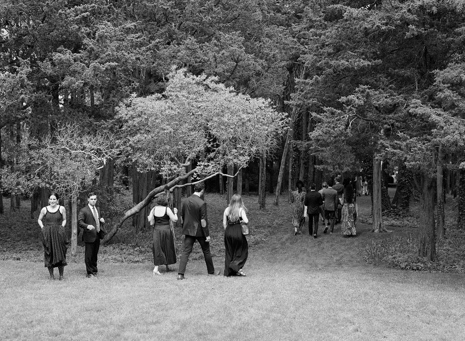 Wedding guests walk to ceremony in the woods of Cape Cod, Massachusetts for ceremony.
