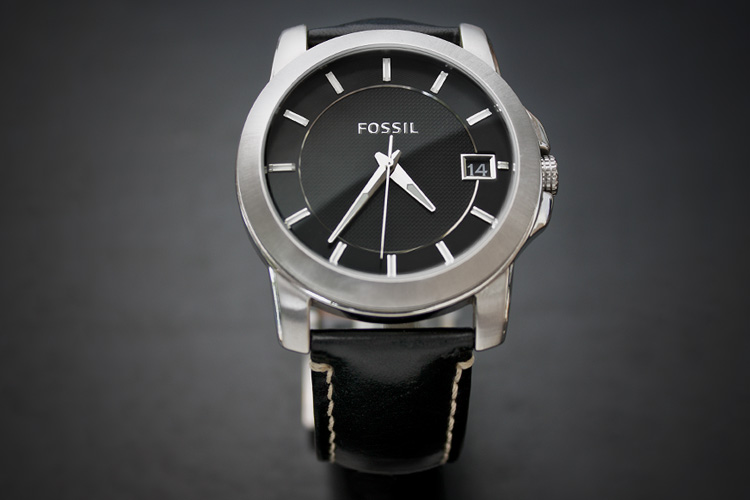 FossilWatch2.jpg