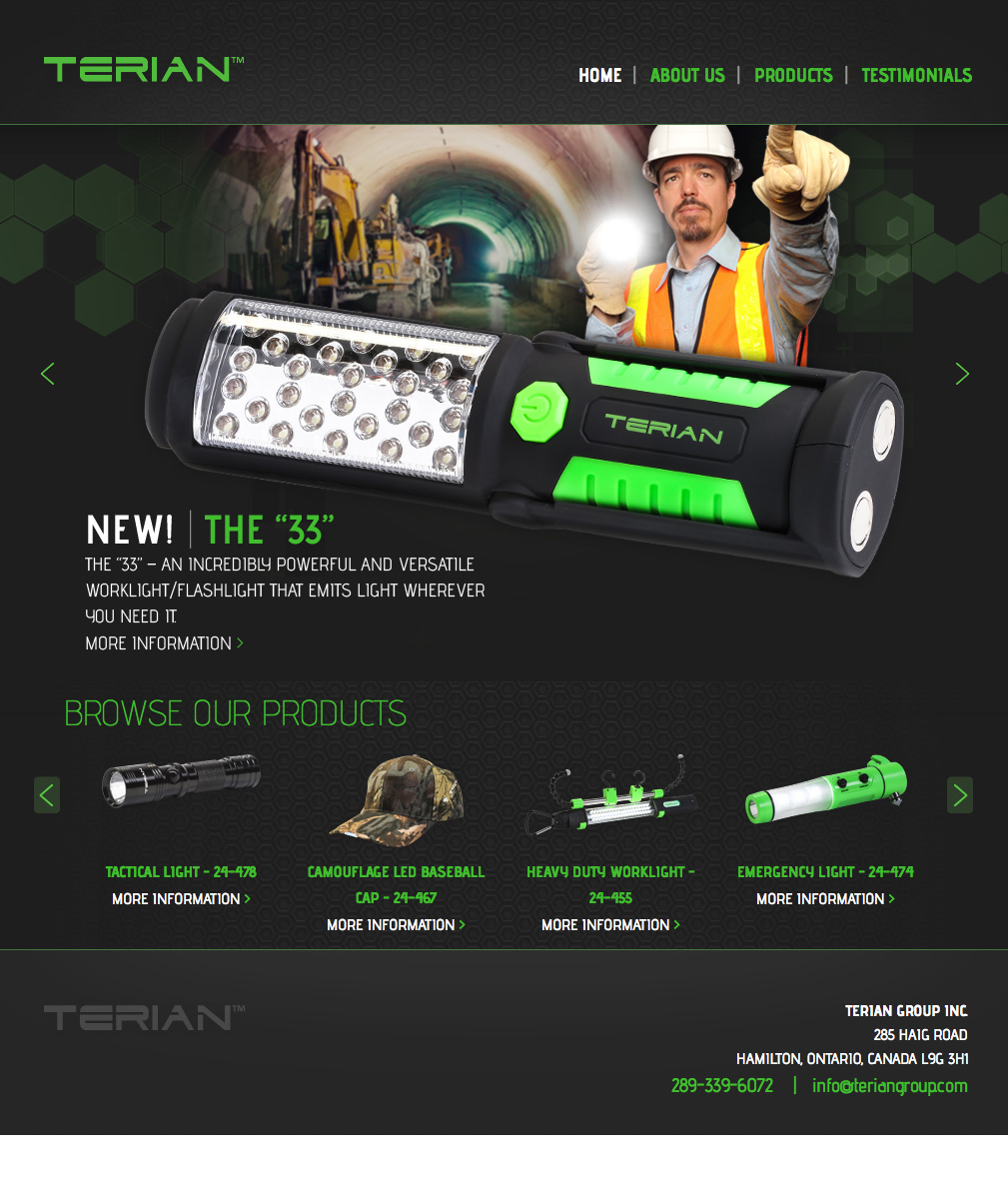 Terian Group Home Page.png