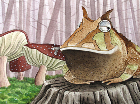toad.jpg