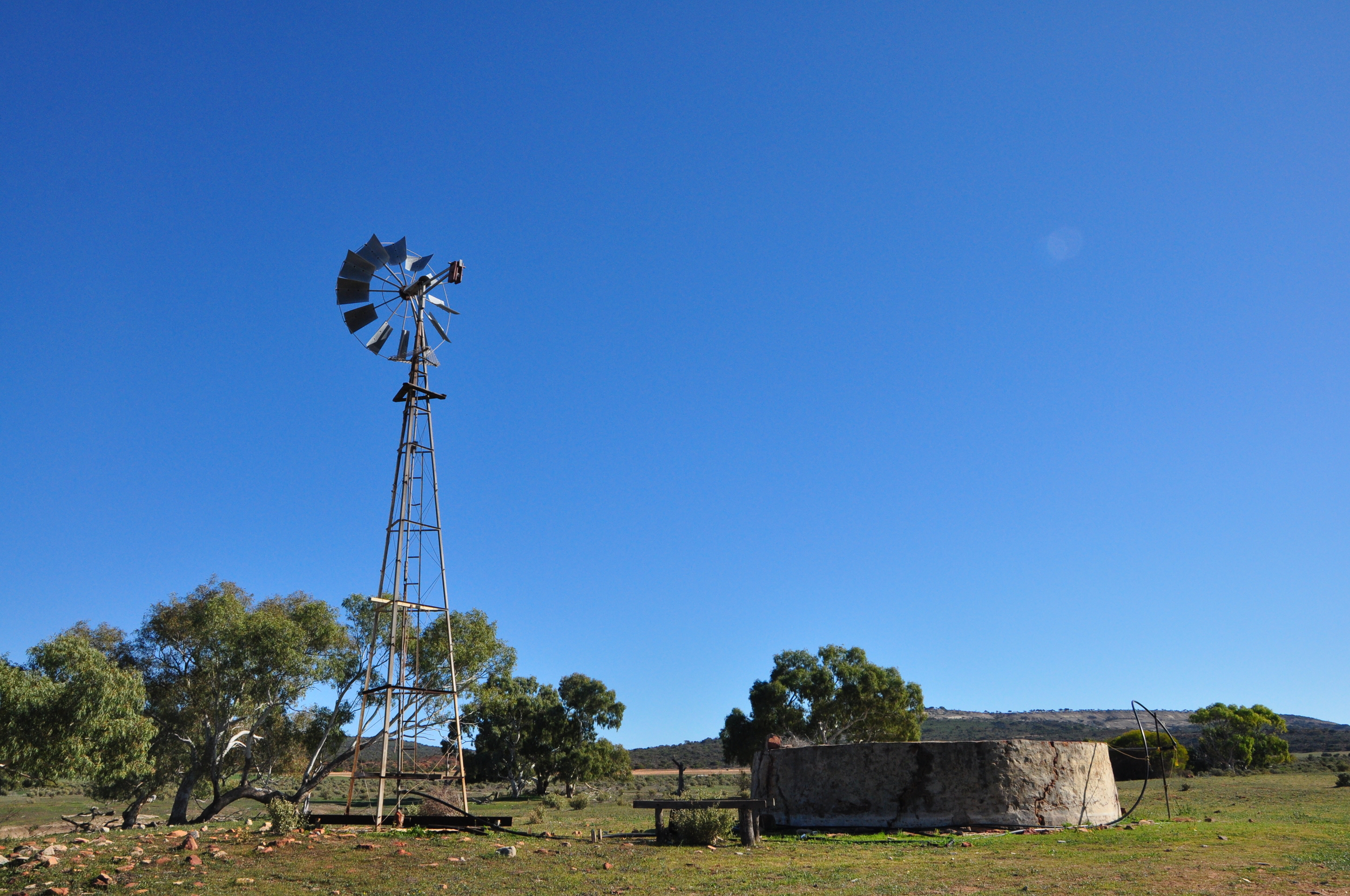 Windmill at Murchison House Station