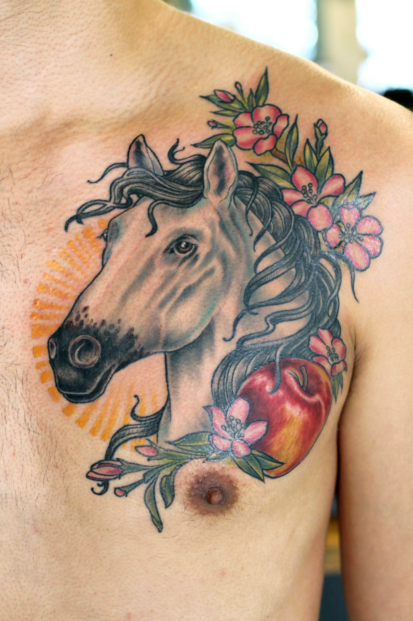 Apple n horse