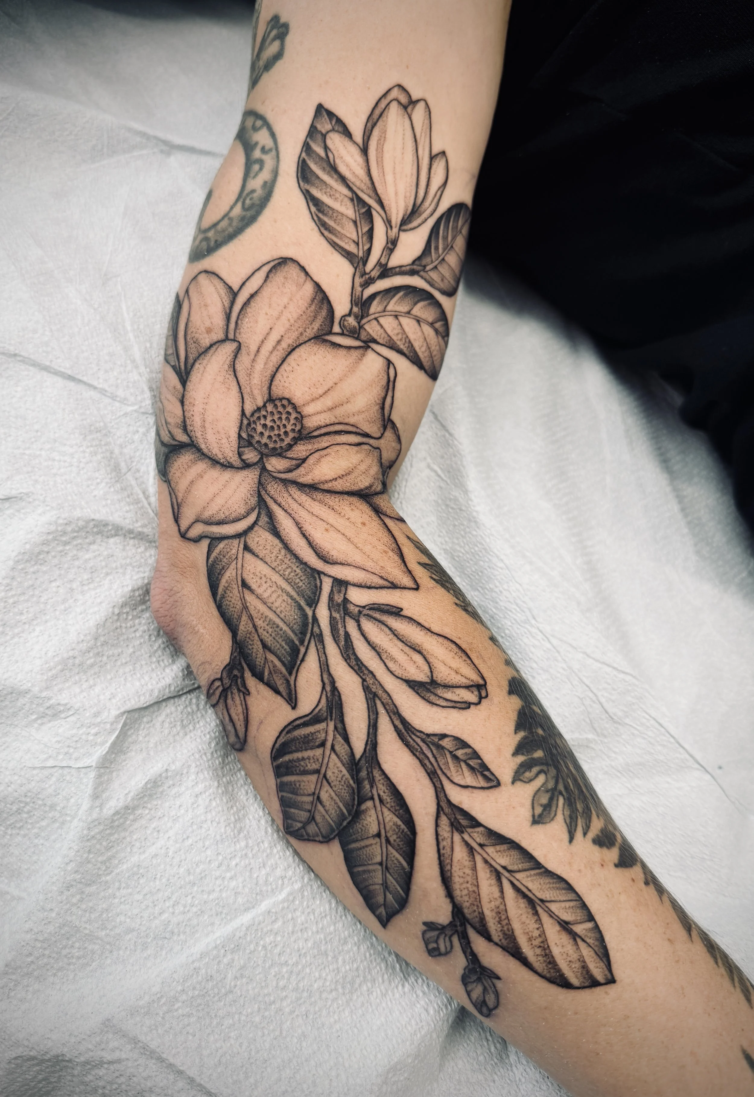 Magnolia