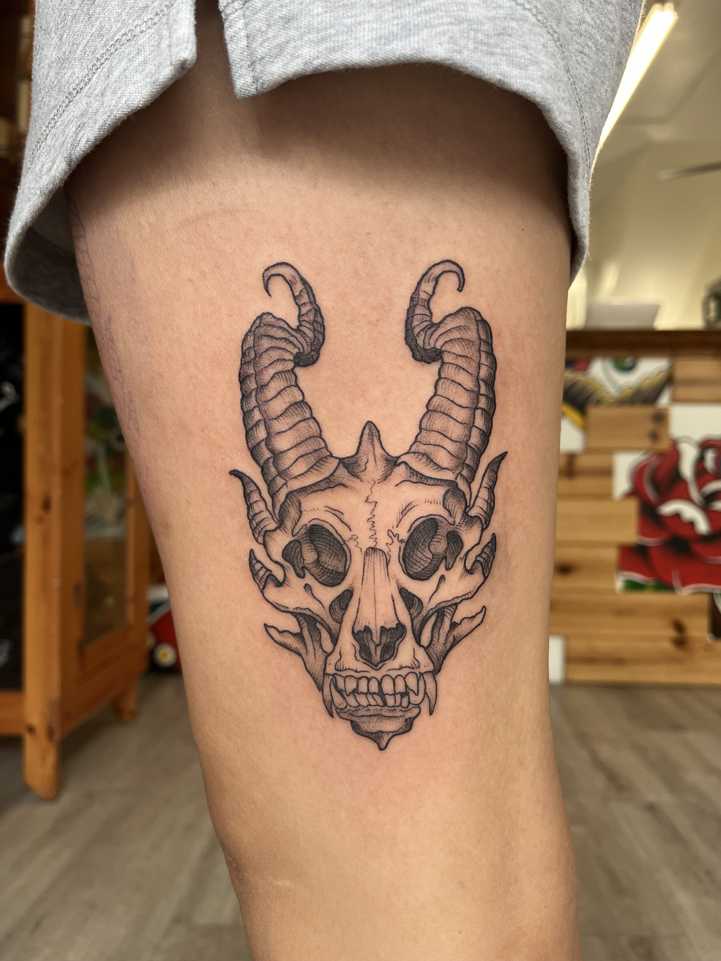 DRAGON SKULL.jpg