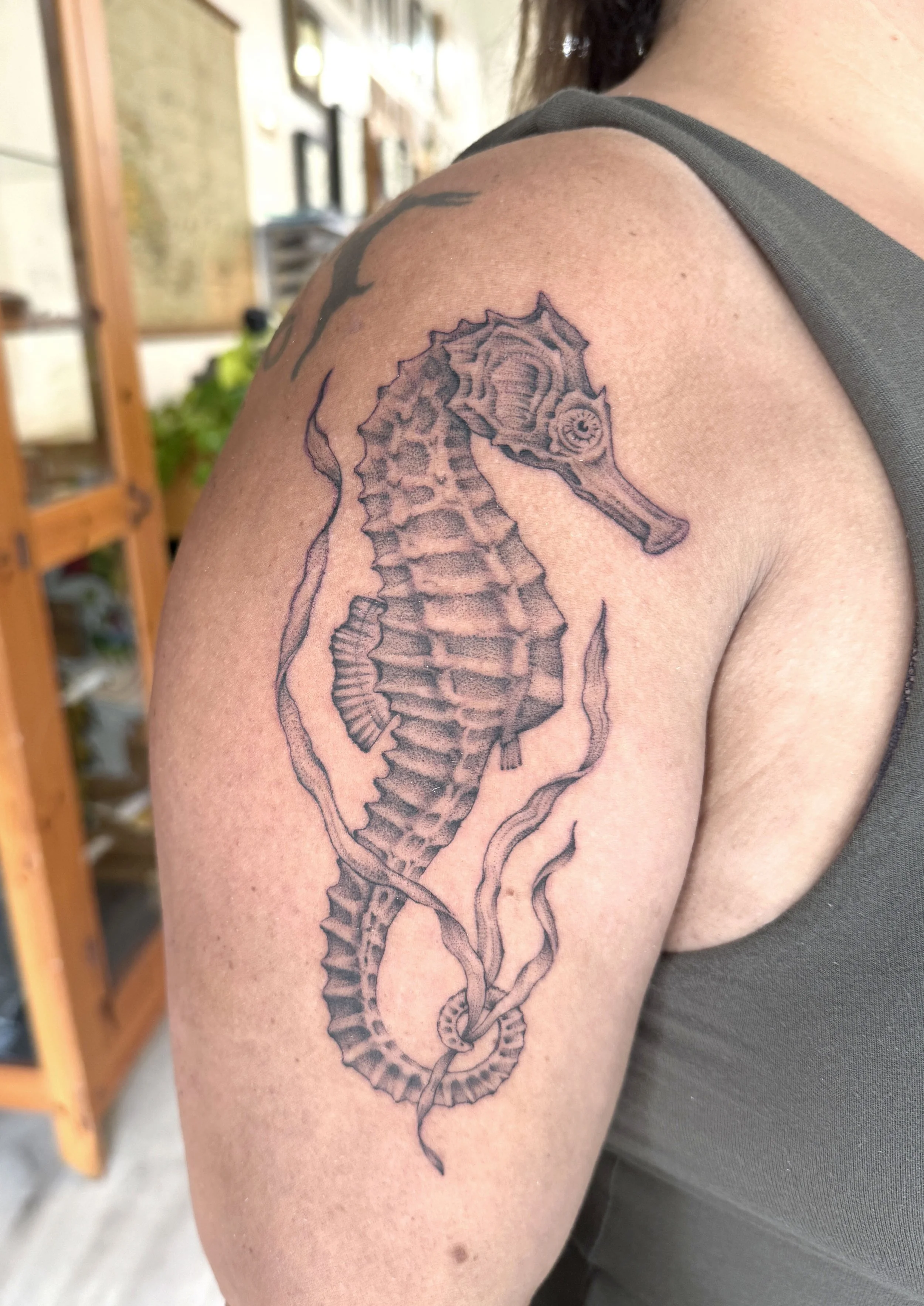 Seahorse Tattoo