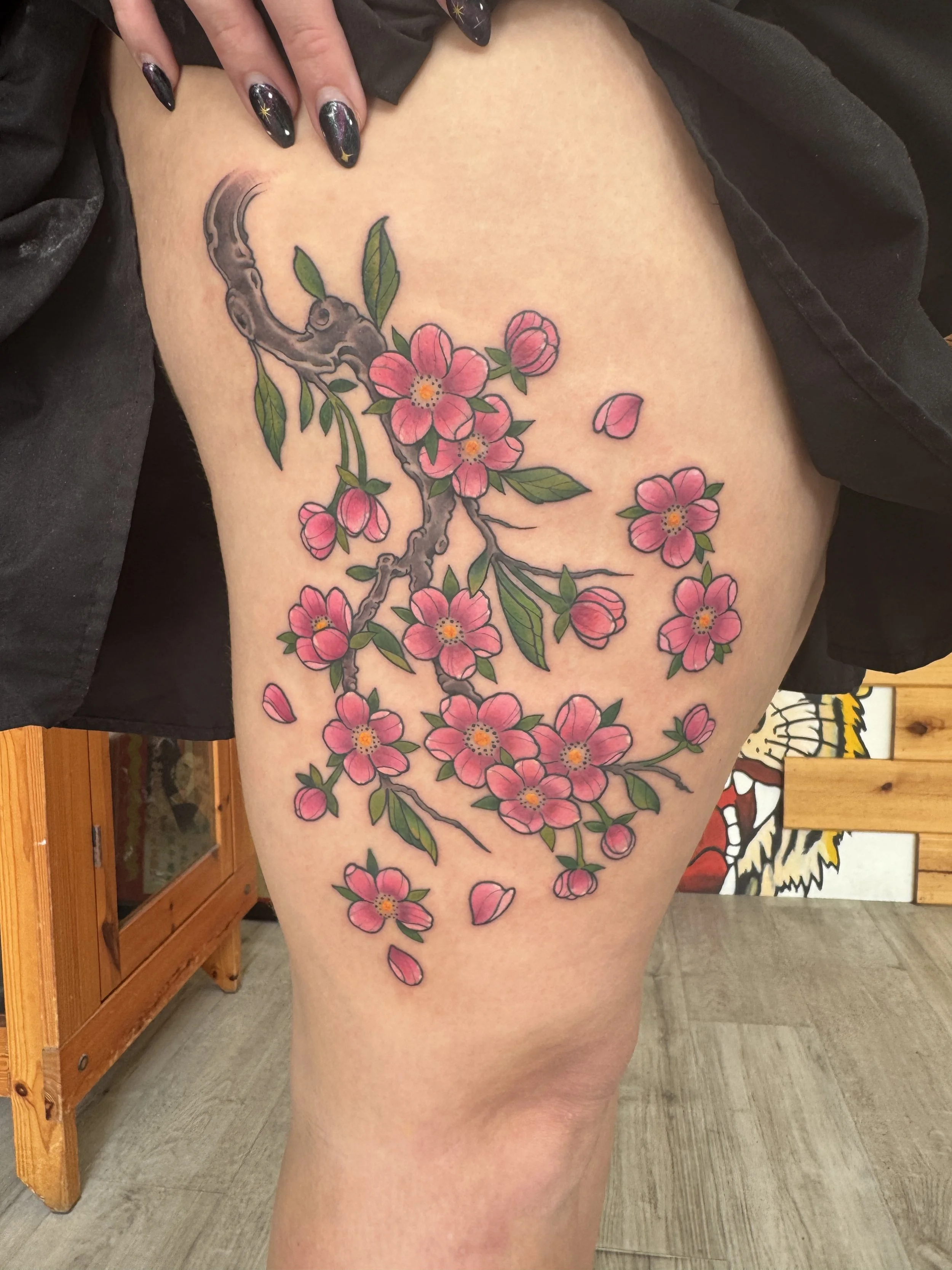 Cherry Blossoms