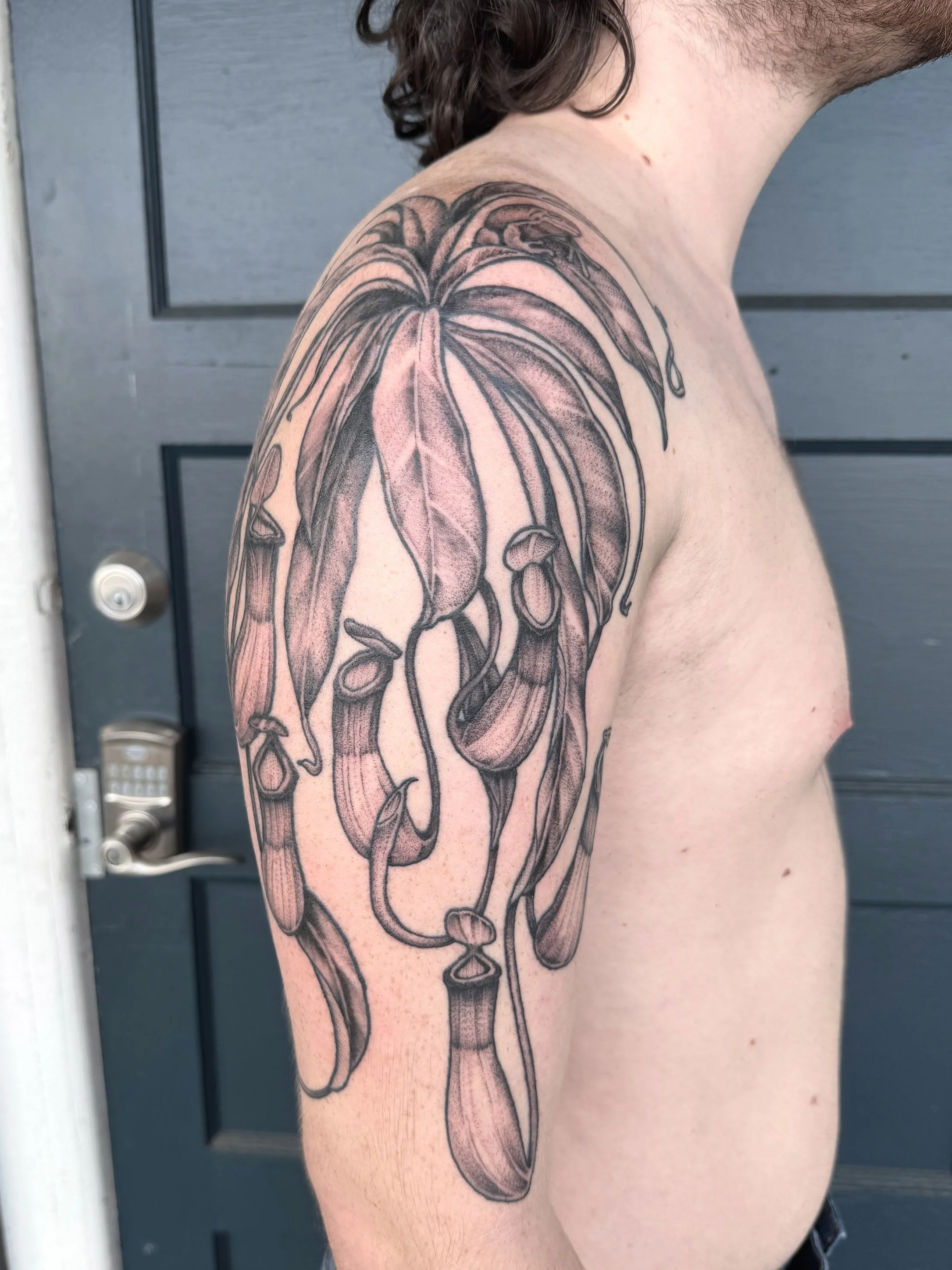 Pitcher Plant Half Sleeve