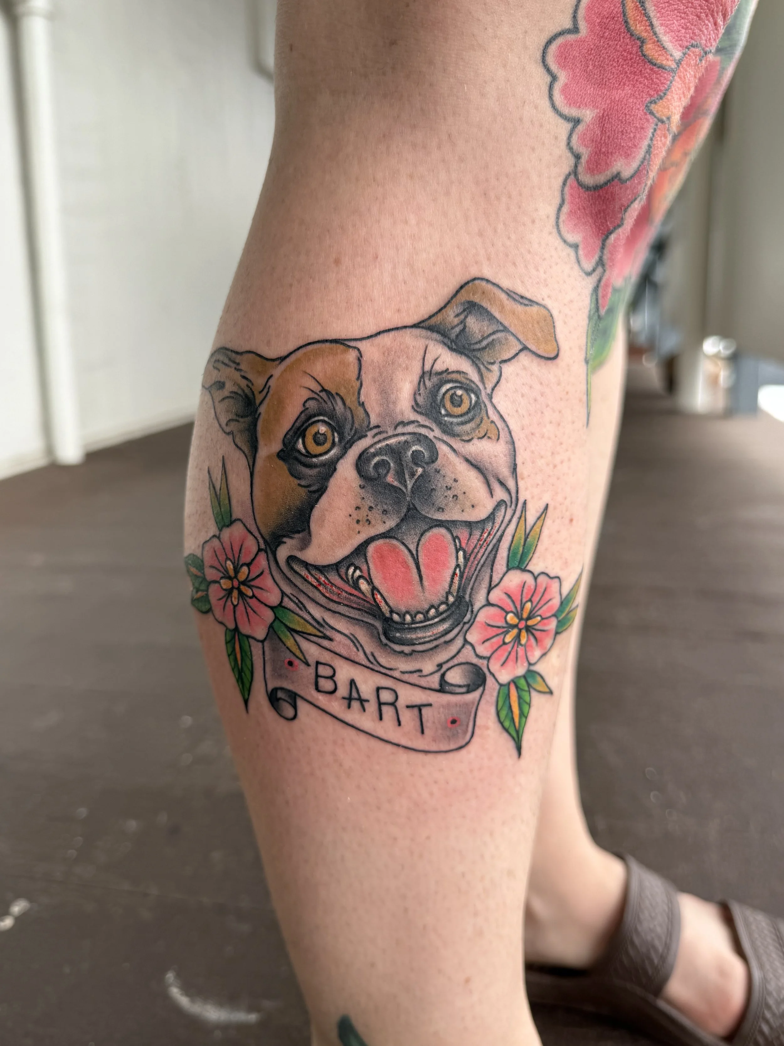 Bart the dog! pet portrait