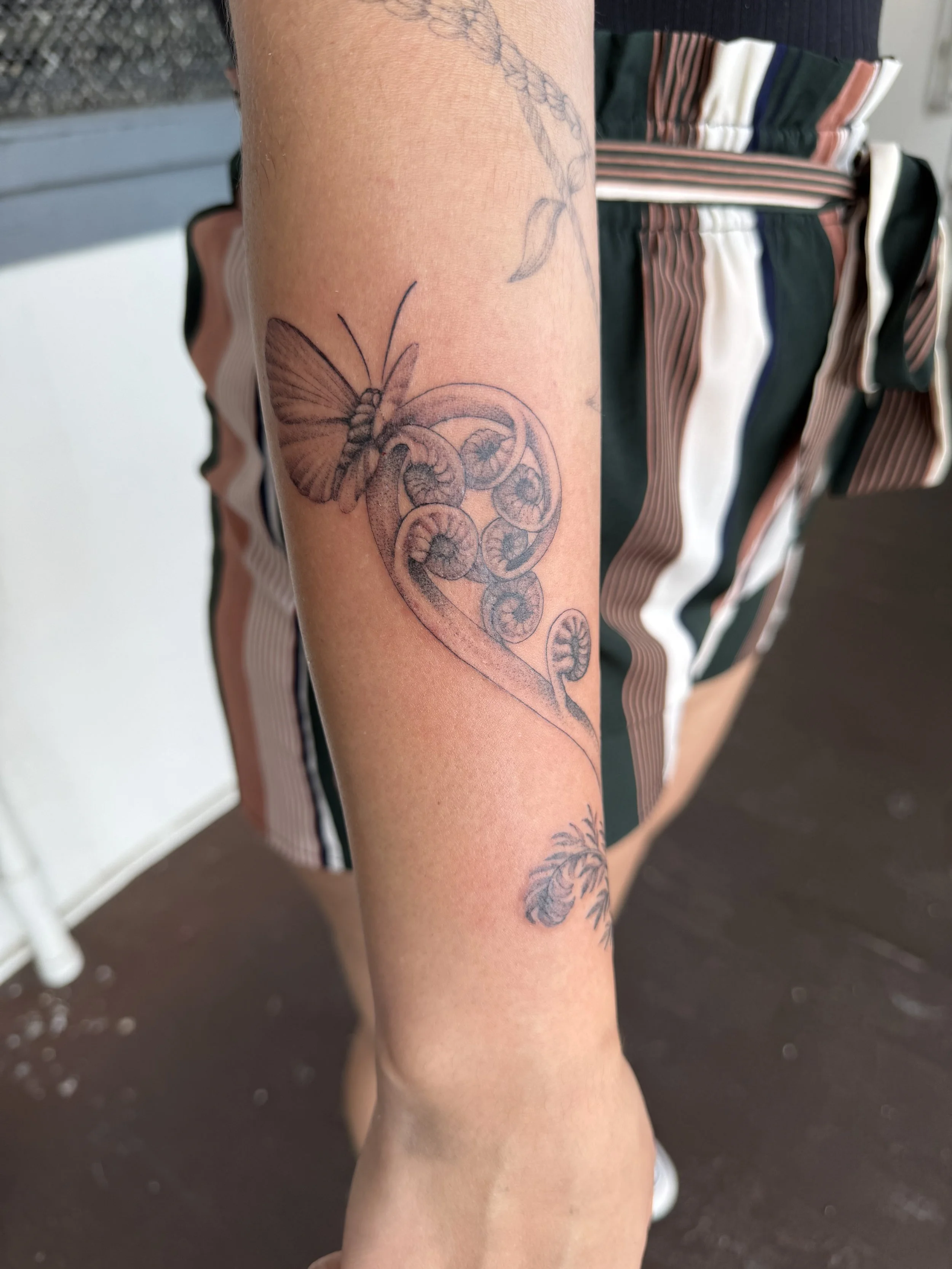 Native fern and butterfly