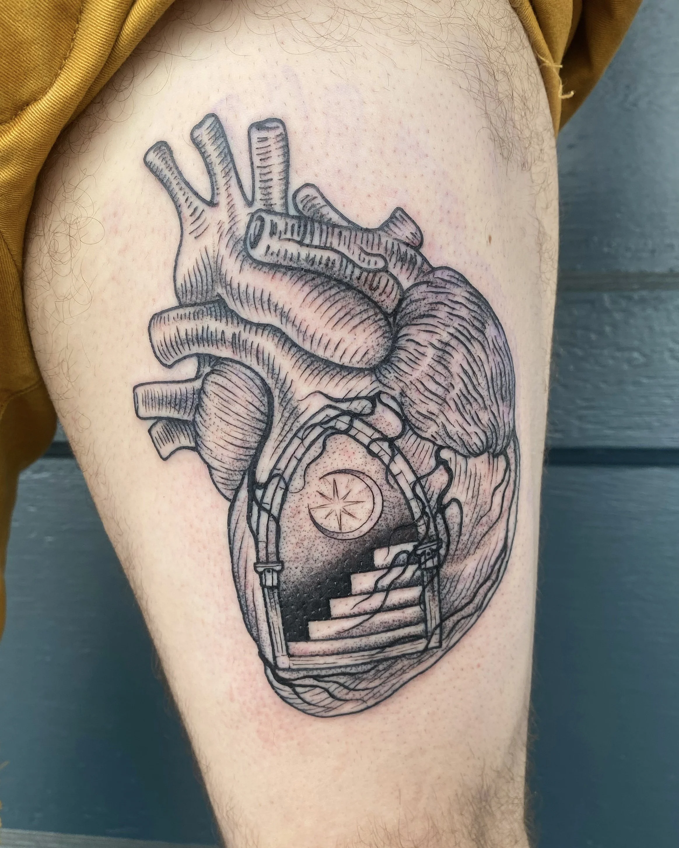 Anatomical heart with portal 