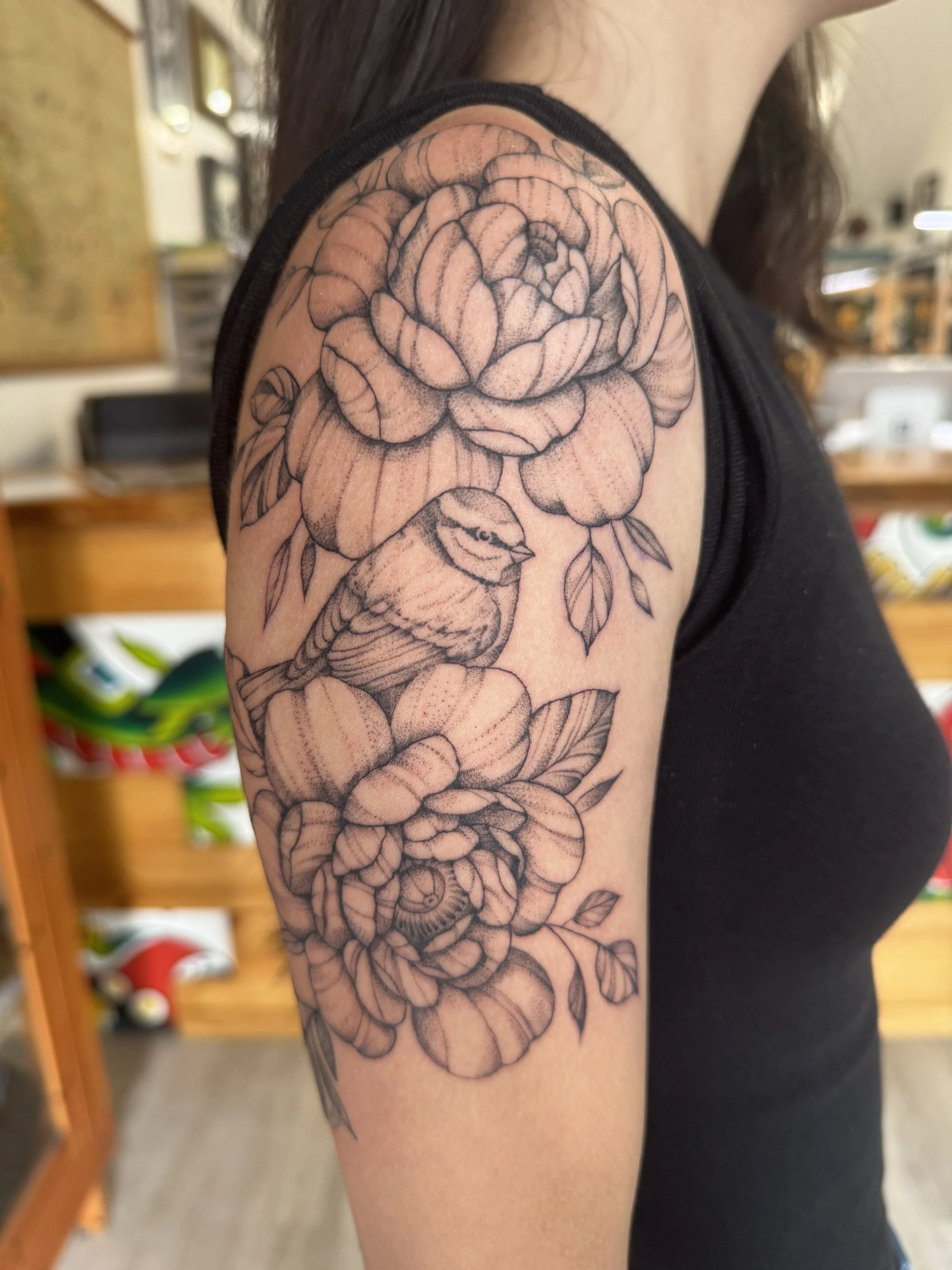 Little bird & peonies