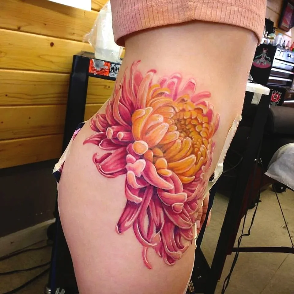 pink+chrysanthemum.jpg
