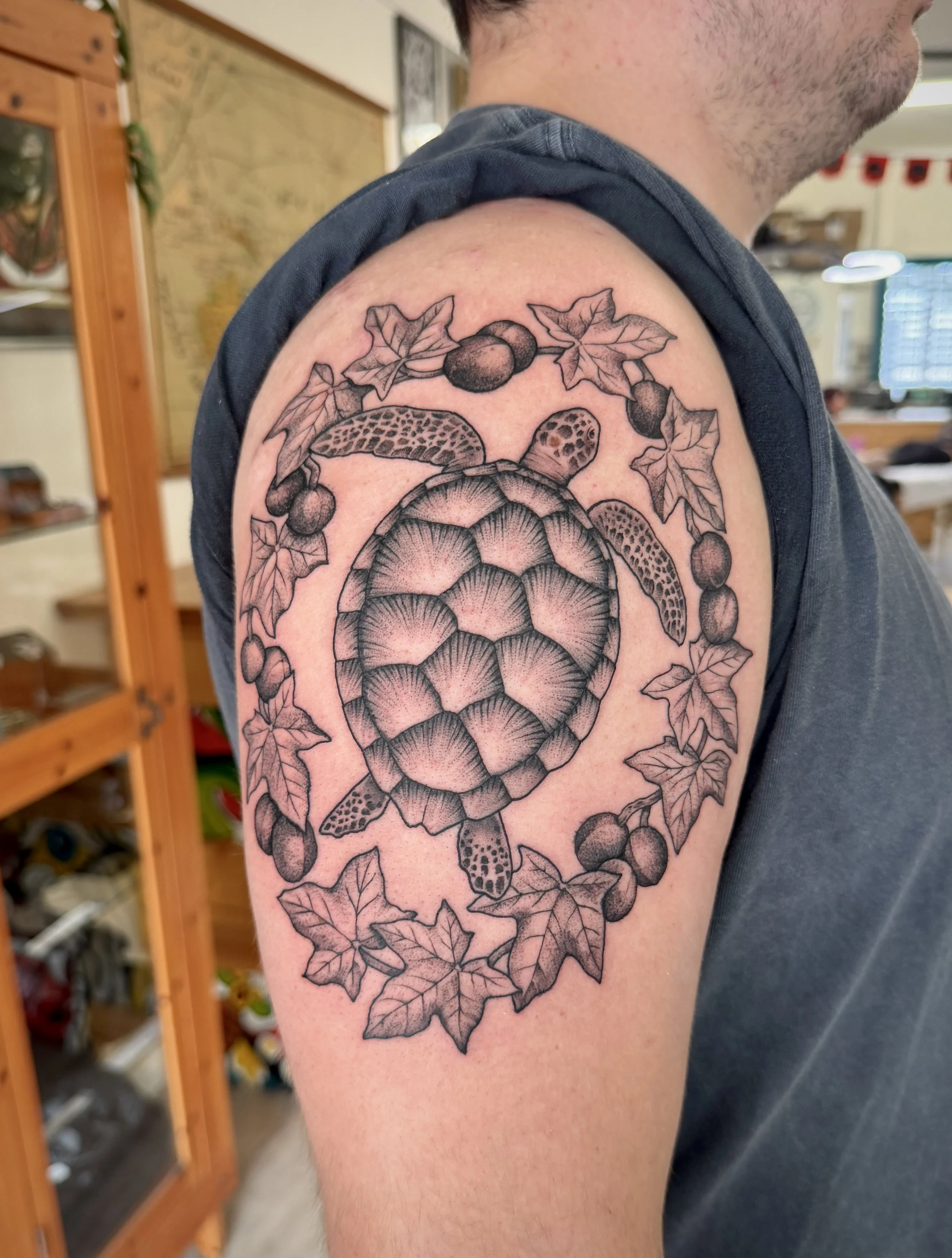Sea Turtle & Kukui