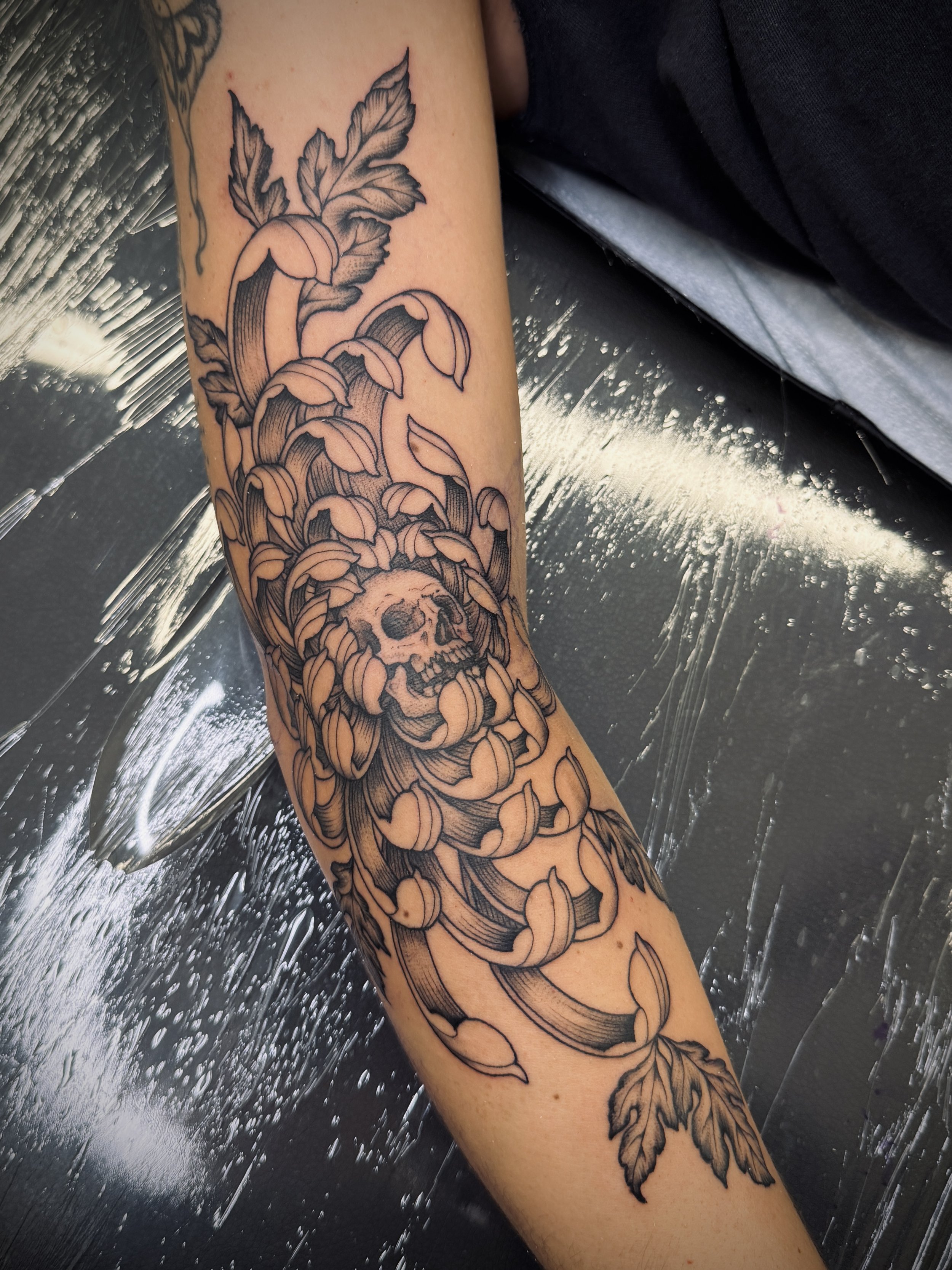 Chrysanthemum 
