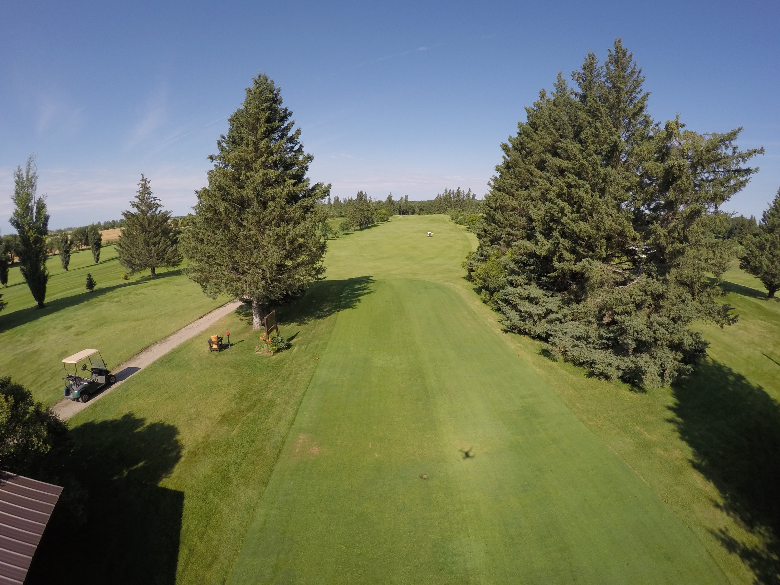 Senior Men's Tournament