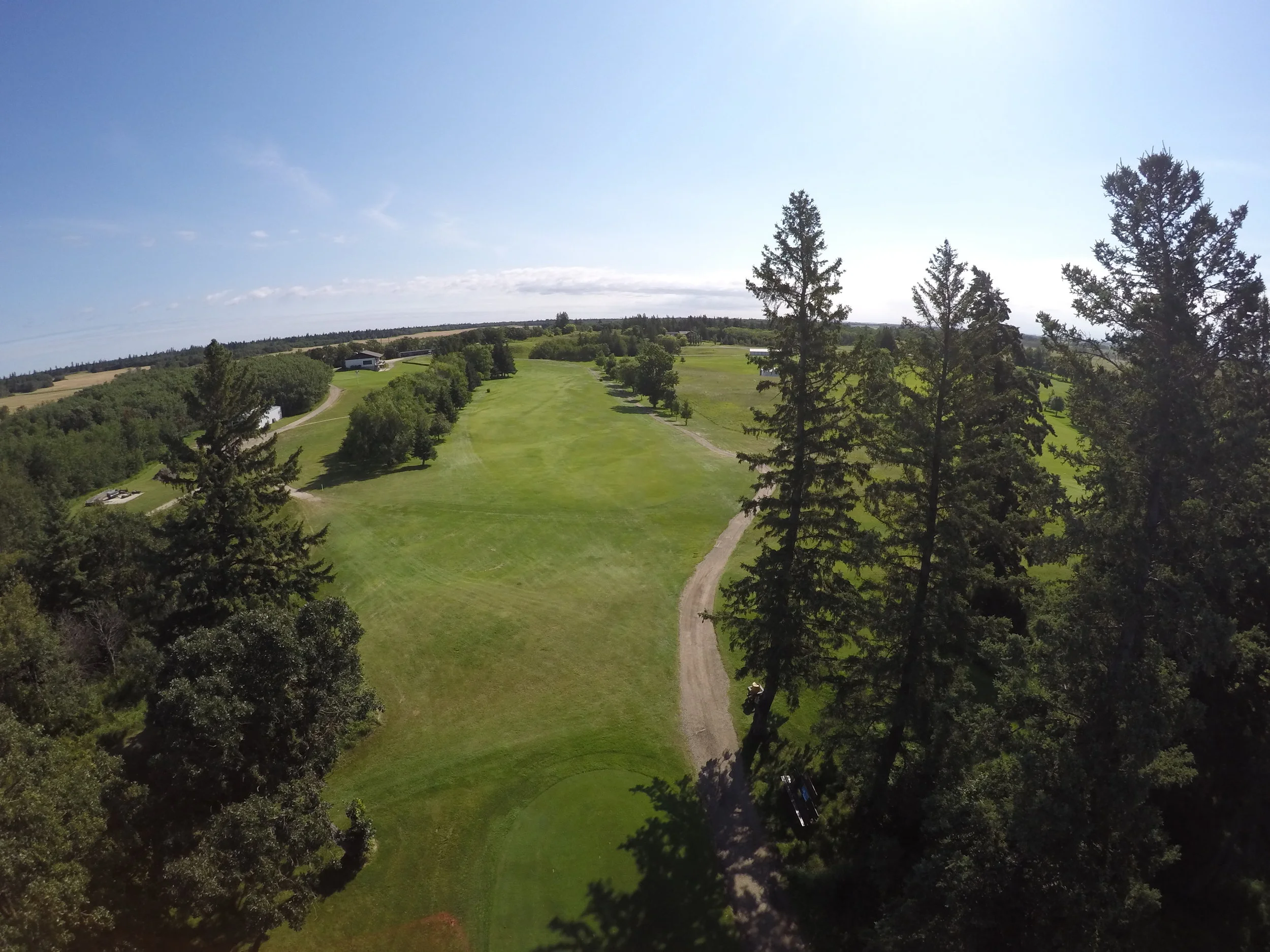 65+ Senior Ladies & Men's (9 Holes)