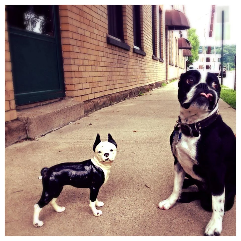 The Printer's & Curiosities a Collection to Behold