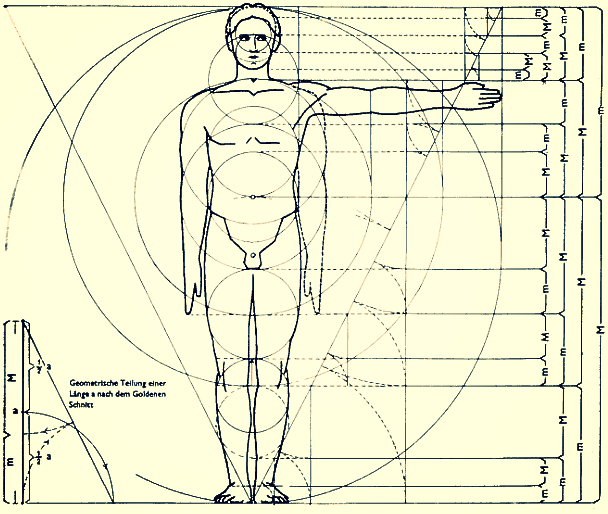 Golden Mean Le Corbusier.gif