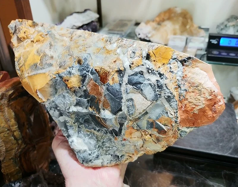 0418261624a_resized (1).jpg