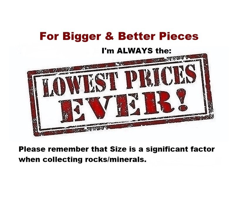 istockphoto-535191823-1024x1024.jpg