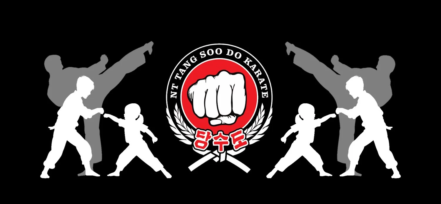 TSD NT Banner.jpg