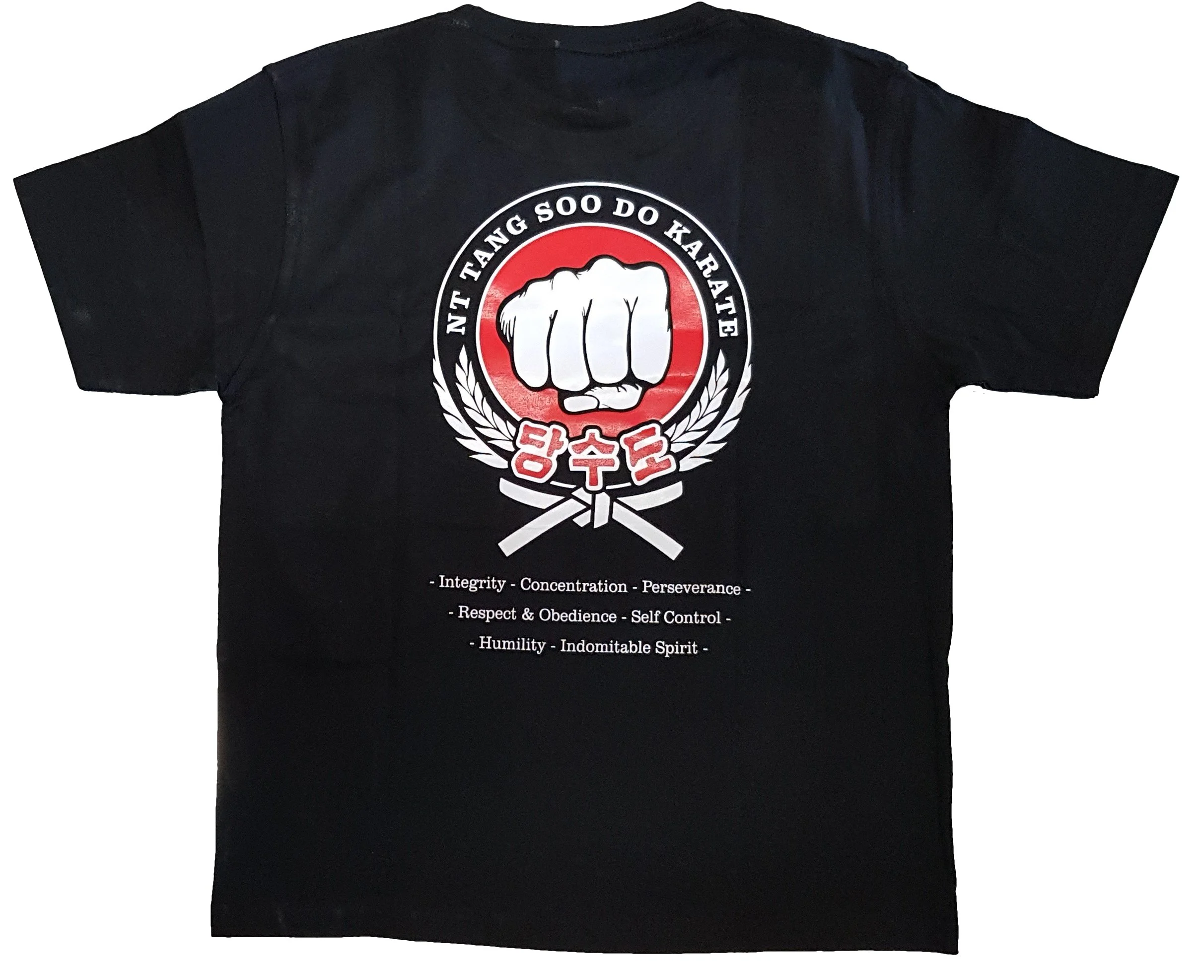shirt (1)wbg.jpg
