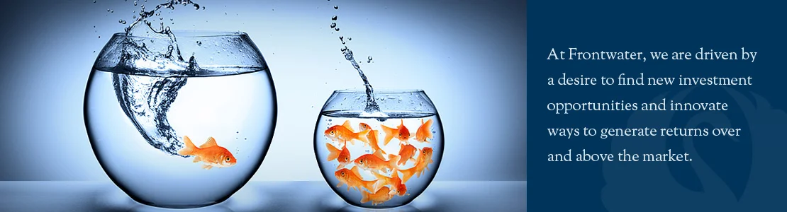 banner-fish.jpg