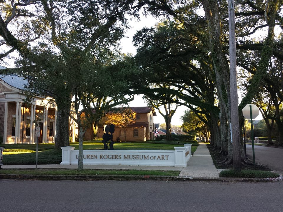 Live oaks!! tunnels of green in every direction. What a lovely neighborhood!