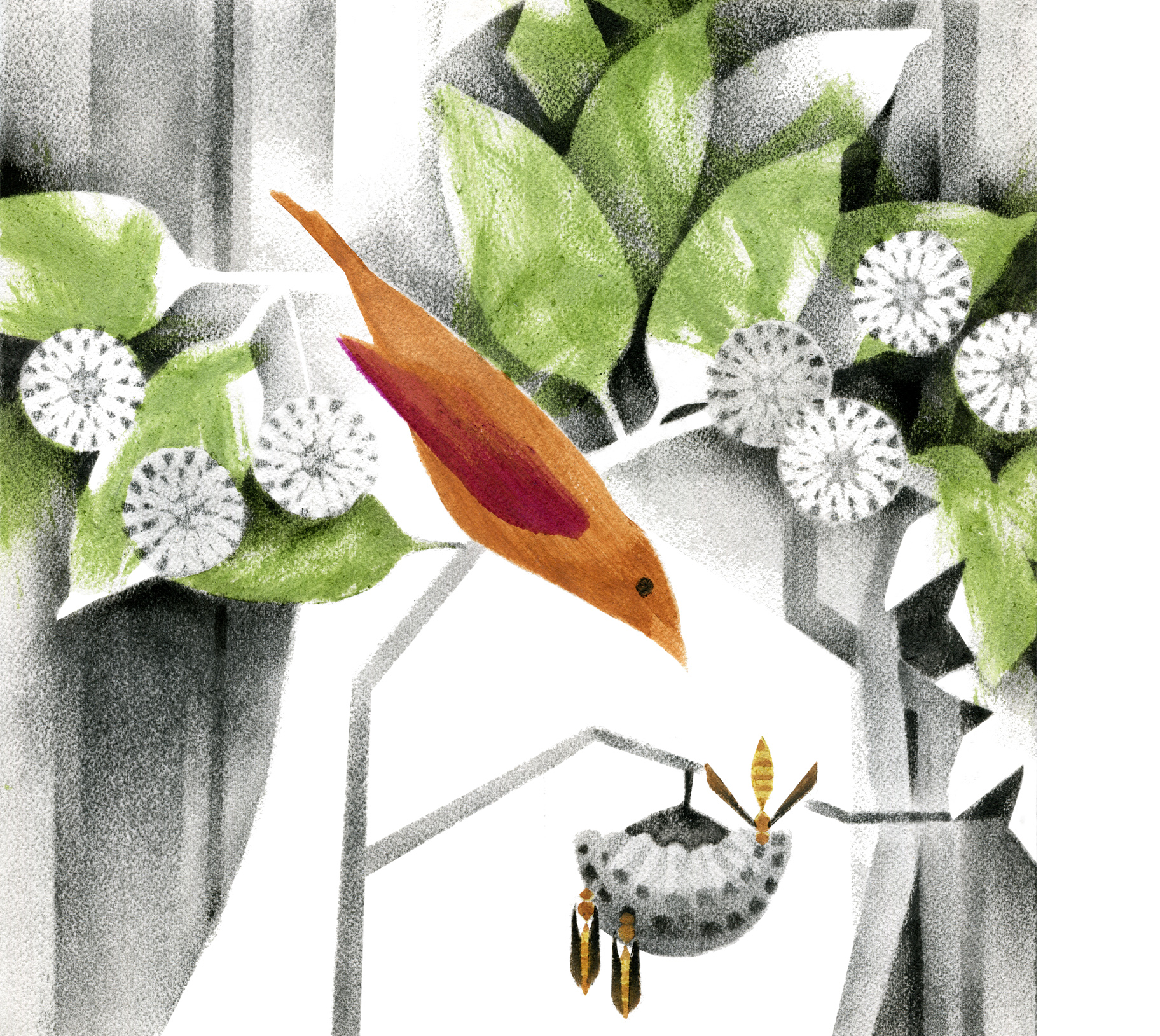 MAY- summer tanager, paper wasp & buttonbush