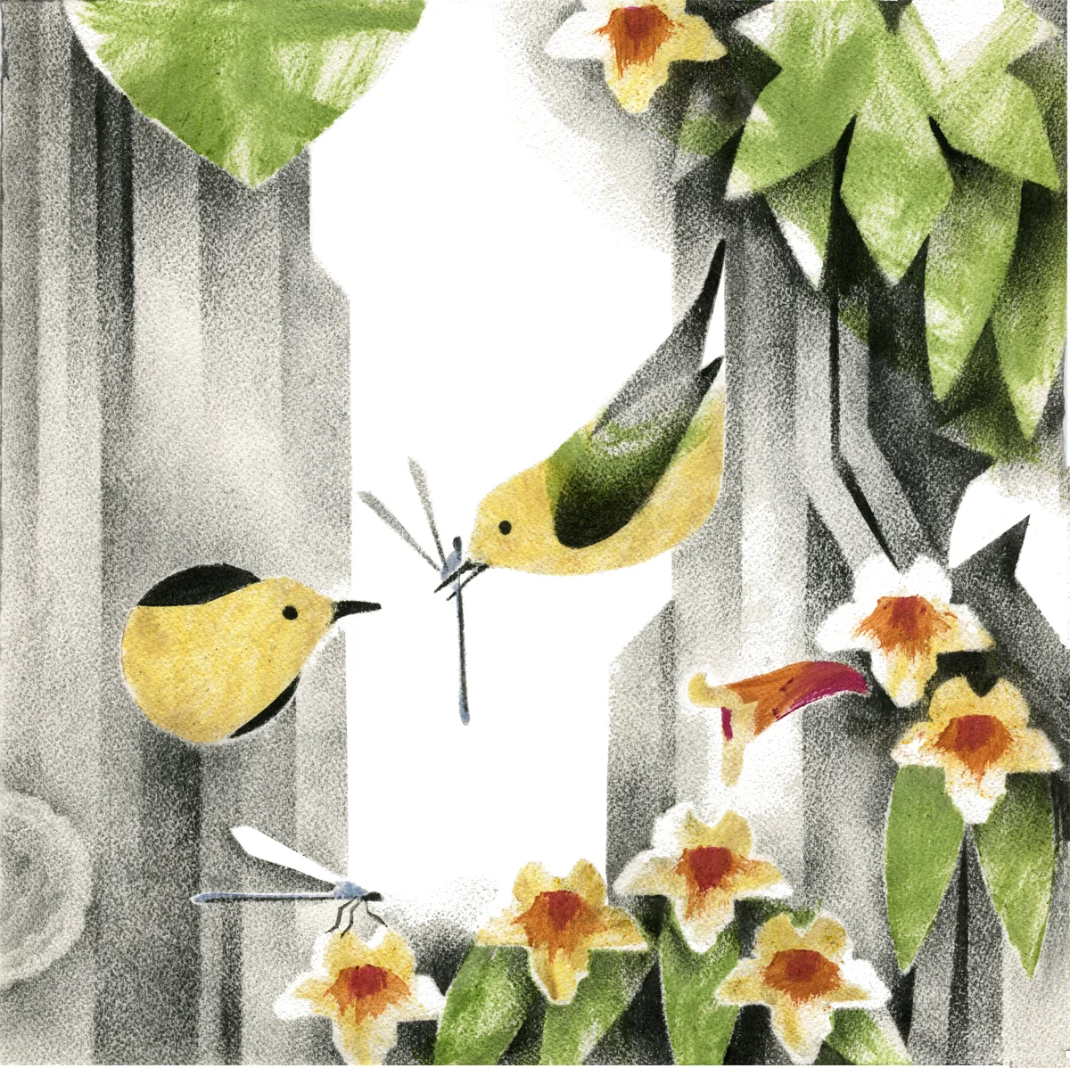 April_warblers with damselfly_web.jpg