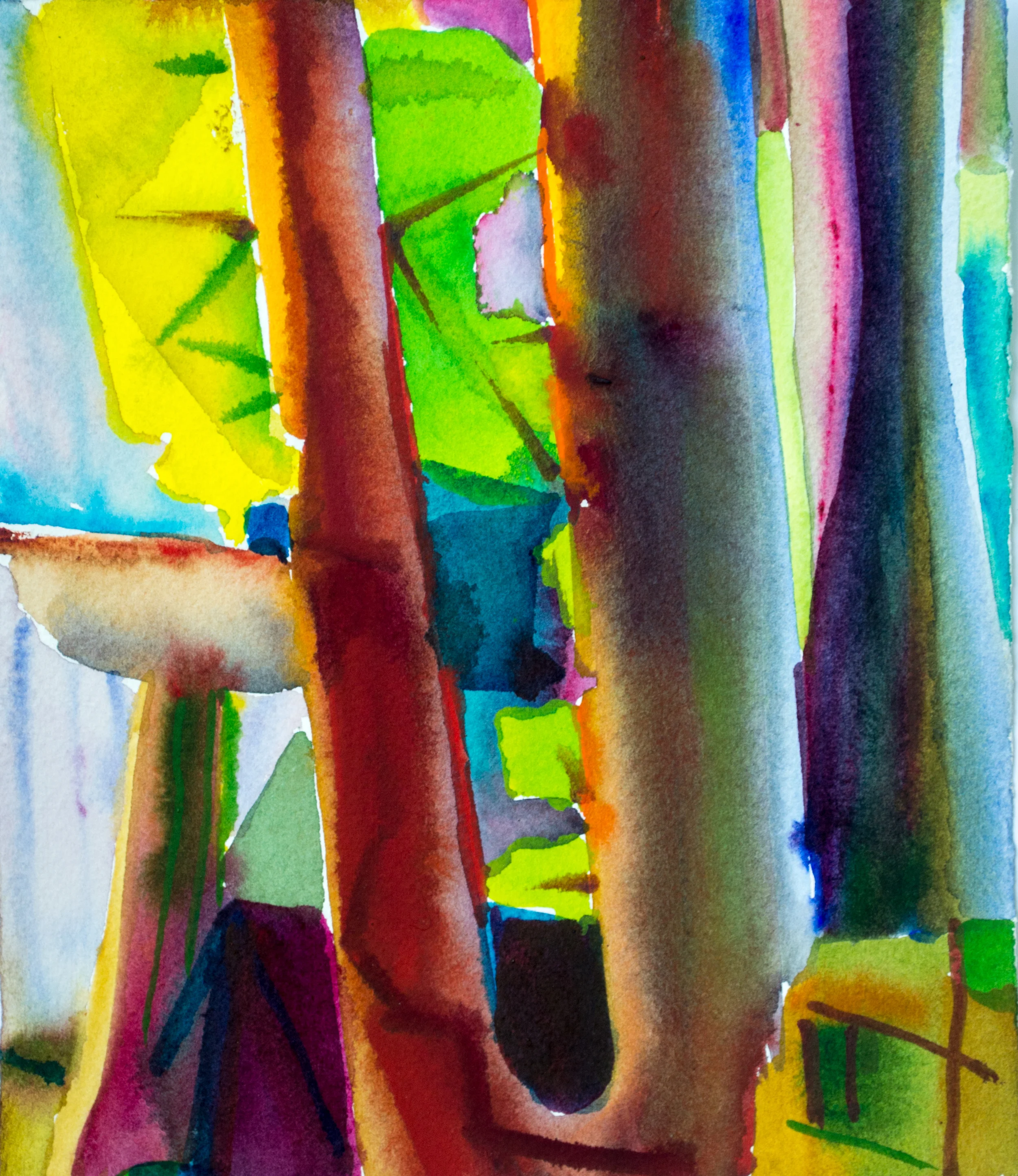 backyard shapes and colors