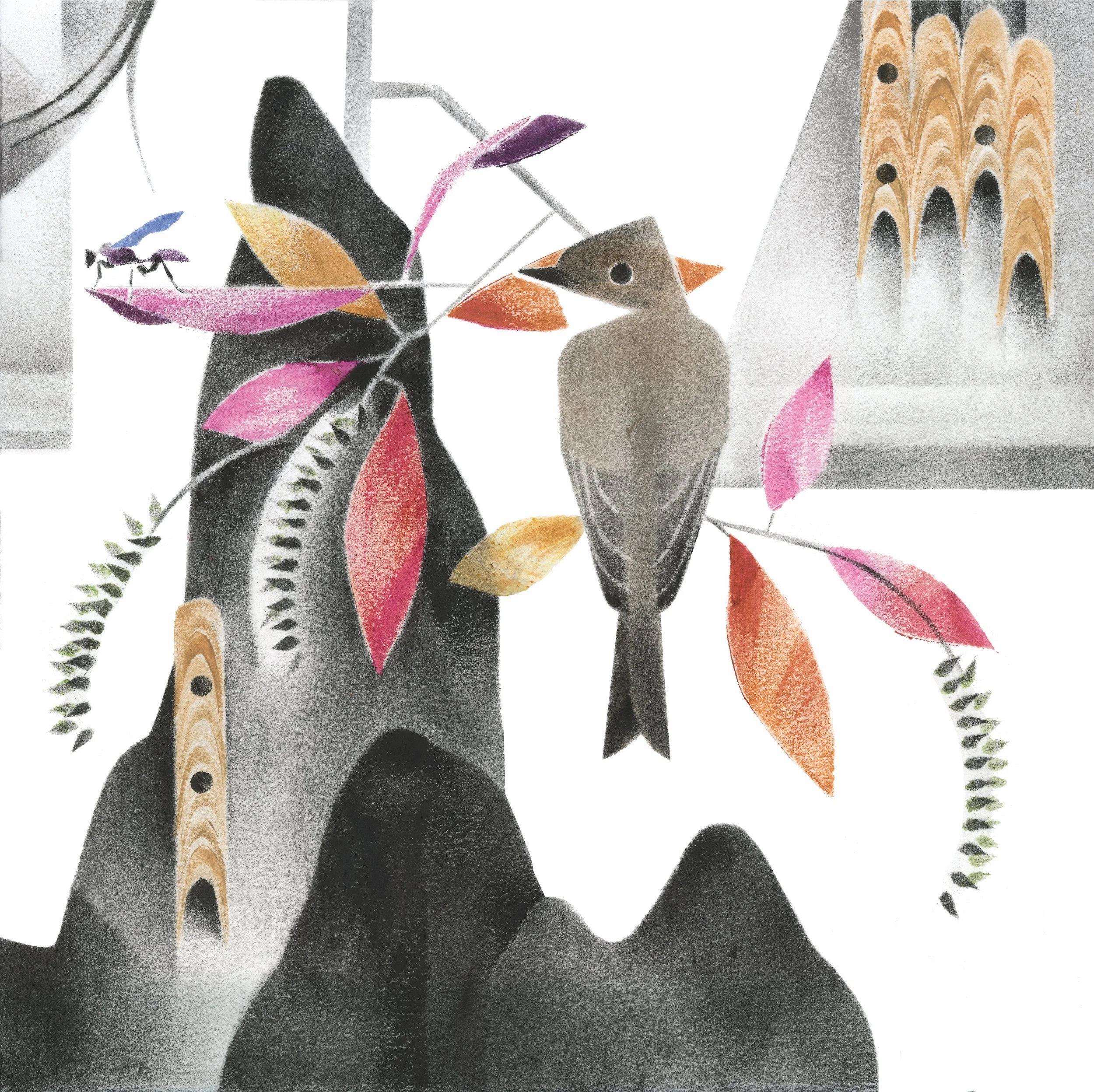 fall_Oct_phoebe_print ready.jpg