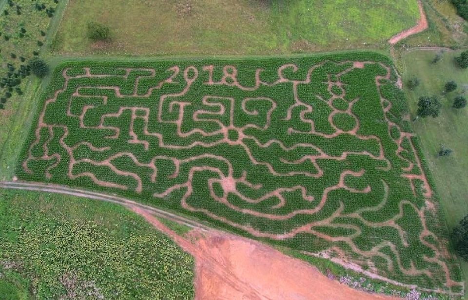 2018+maze.jpg